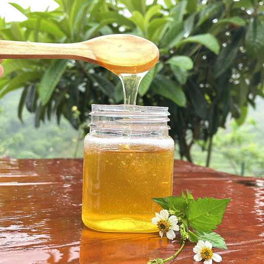 包德安/BDA纯蜂蜜（250克） 商品图2