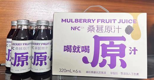 NFC桑葚原汁 商品图2
