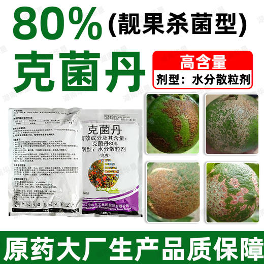 80%克菌丹柑橘果树砂皮病树脂病专用农用保护性杀菌剂正品老牌子 商品图2