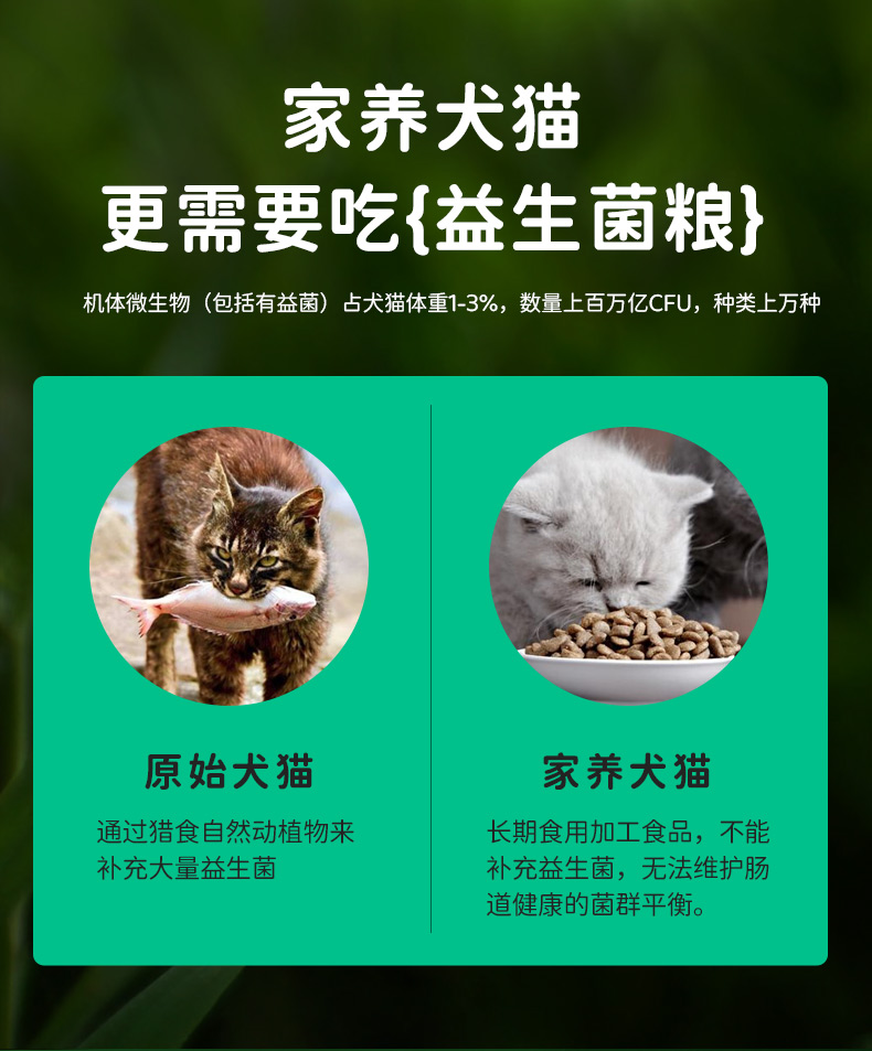 图片下载失败
