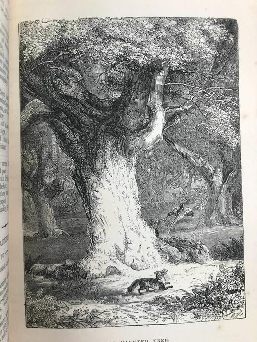 工坊特装本！约19世纪后期 华兹华斯诗集 约8幅插图 全真皮精装32开 商品图10