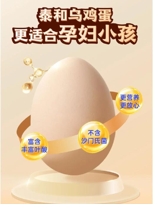 L泰和凤升原种泰和乌鸡30枚 商品图1