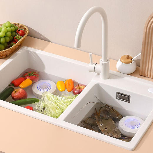 大宇果蔬净化清洗机DY-JH01 商品图4