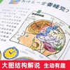 【非点读】儿童好奇心大百科 商品缩略图3