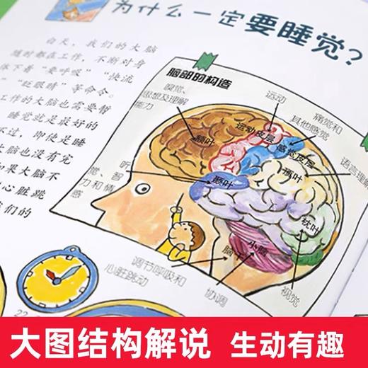 【非点读】儿童好奇心大百科 商品图3