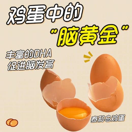 L泰和凤升原种泰和乌鸡30枚 商品图3