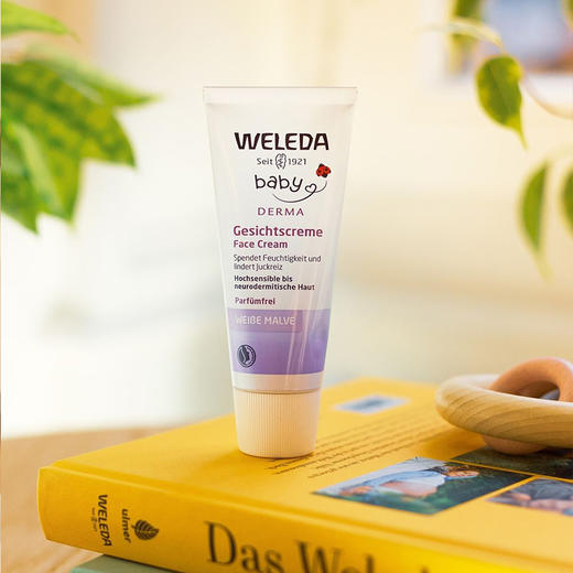 【安潇】weleda维蕾德 儿童夏季护肤组合 商品图0