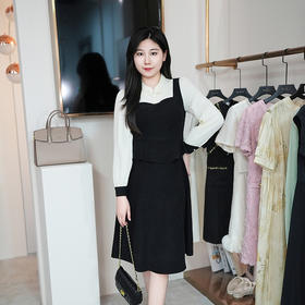 8/4奢姿大码女装2024秋季小立领气质裙子胖妹妹拼接假两件时尚连衣裙9943826641