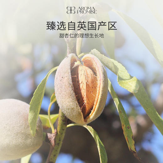 甜杏仁油 温和滋润保湿紧致肌肤 抚触油 按摩油 基底油基础油90ml 商品图3