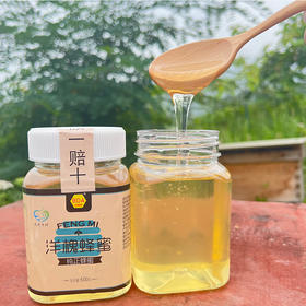 包德安/BDA洋槐蜂蜜
