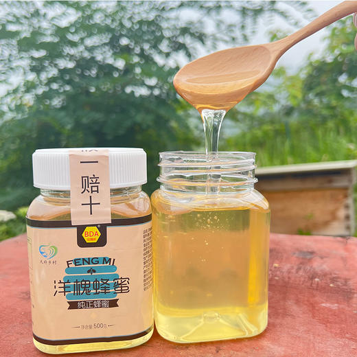 包德安/BDA洋槐蜂蜜 商品图0