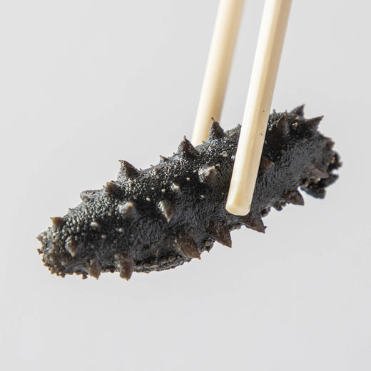【长岛野生海参】具有高蛋白质！肉质厚实，参体饱满，弹性足！参刺挺拔，泡发率高！还可提高免疫力，温和滋补，降血脂等！做法多样，煲粥、蘸食、凉拌等！【TJ-J】 商品图7