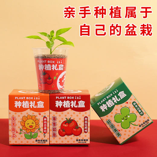 【开学礼~亲手种植属于自己的盆栽】植物盲盒diy 儿童盆栽 活动礼品绿植 幼儿园小学生开学礼物 新年礼物小学生-QQ 商品图2