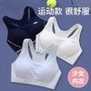 两件装【轻梵 12-18岁少女内衣】三阶 运动防震背心内衣 稳定无束缚 解放肩膀 灵活运动 吸湿快干 商品缩略图2