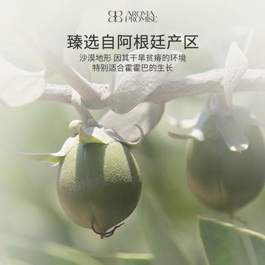 霍霍巴油 荷荷巴油 收缩毛孔 帮助去粉刺、闭口、黑头 商品图3