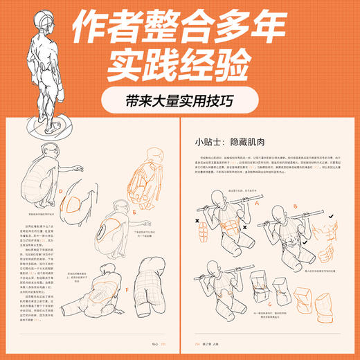 人体结构与动态塑造 艺术家课堂 汤姆福克斯游戏动漫人体结构手绘教程 人体绘画教学素描速写 商品图3