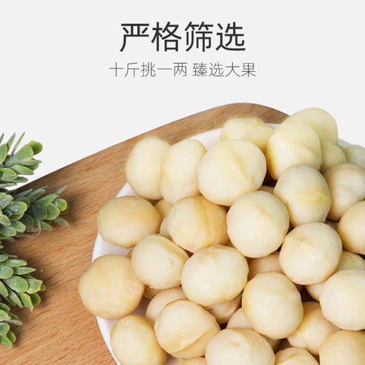 新农哥大颗粒夏威夷果仁500g去壳即食 商品图3