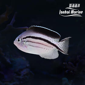 拉马克