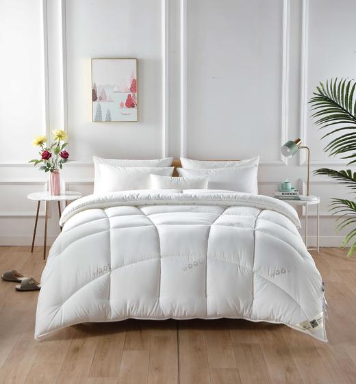 【远梦】澳洲羊毛双层芯被 商品图2