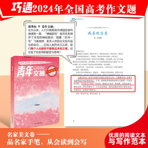 青年文摘名师精选本（全四册） 商品图4