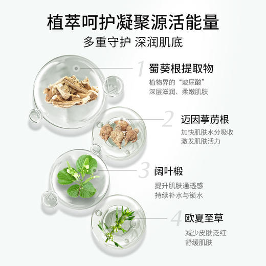 【补水淡纹CP】珂蒂丝活能湿敷爽肤水雕塑抗皱淡纹滋润精华组合 商品图2