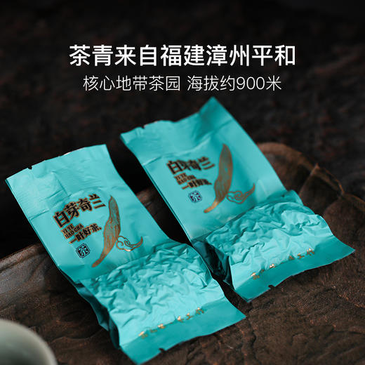 闽南四大乌龙茶之一，2024年春白芽奇兰80g 商品图3