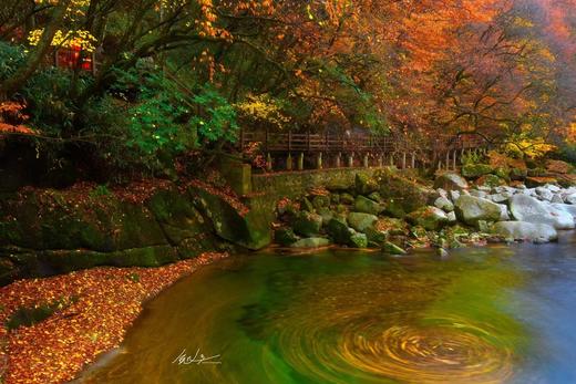 10.24确定出发【秋摄秦巴】红叶大道•光雾山•龙头山•黎坪红叶9天 商品图2