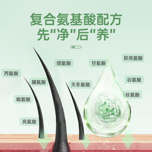 【专研头屑问题】卓蓝雅婍迹去屑洗/护380ml单品/套装 商品图6