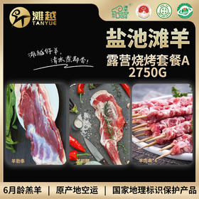 滩越  盐池滩羊露营烧烤套餐A 2750g（羊前腿1500g*1、羊肉串200g*4、羊肋条450g*1）