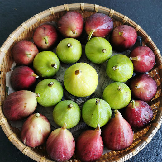 有机无花果 商品图4