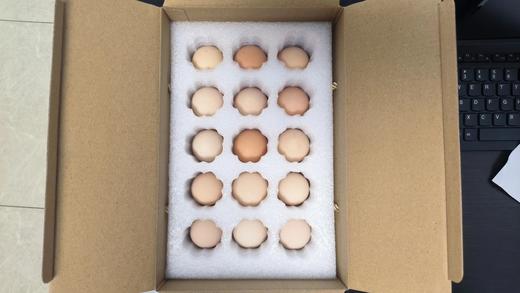 L泰和凤升原种泰和乌鸡30枚 商品图4