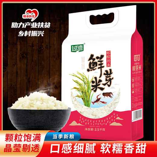 「鲜芽米！软糯香甜」现碾胚芽米2.5kg留胚大米 搭配宝宝辅食营养粥米胚芽米5斤粮油米面 商品图0