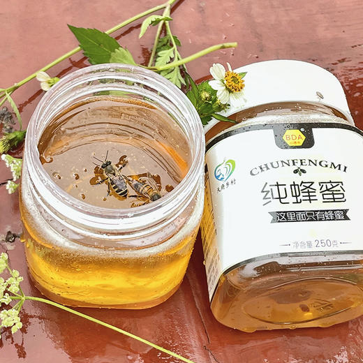 包德安/BDA纯蜂蜜（250克） 商品图3