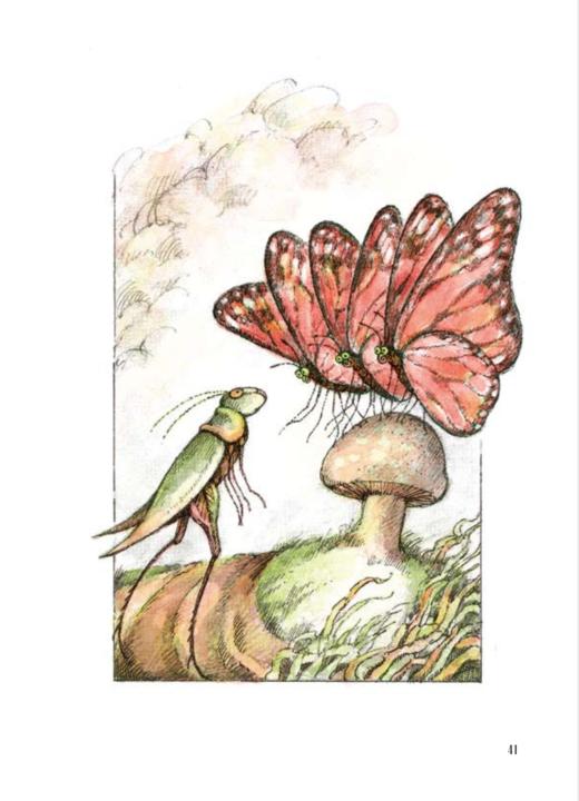 《猫头鹰的眼泪茶》（全6册） 商品图8