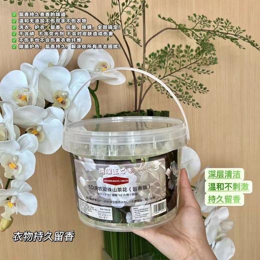 「山姆同款！75粒装」MANRUBENS MKEN5D洗衣凝珠山茶花（留香版）一桶75粒 居家日用清洁工具 商品图2