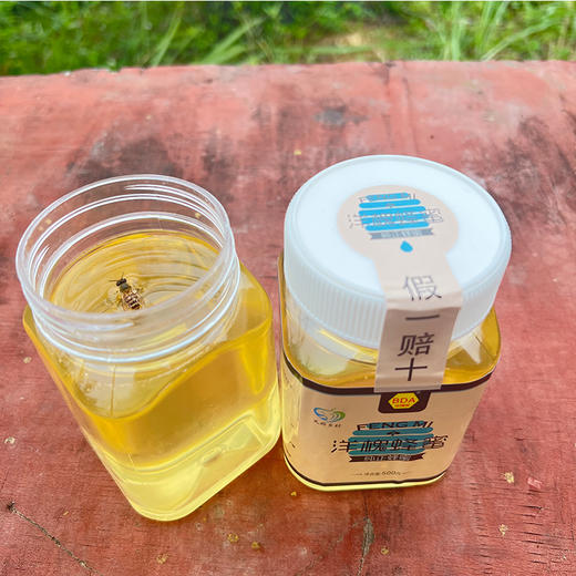 包德安/BDA洋槐蜂蜜 商品图1