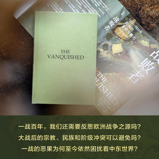 战败者：1917—1923年欧洲的革命与暴力 商品图1