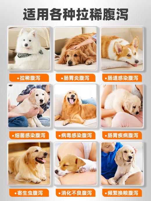 普安特维利克狗狗拉肚子腹泻拉稀呕吐宠物便血止泻药肠胃调理碱式碳酸铋片 商品图1