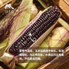 生态阳曲甜糯玉米 | 合作生产*Ecological sweet-waxy maize| Partner Production 商品缩略图1