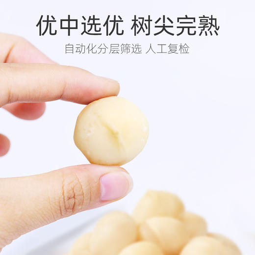 新农哥大颗粒夏威夷果仁500g去壳即食 商品图2