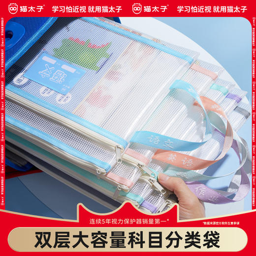 猫太子文件袋小学生科目分类袋双层防水学科补习透明手提袋初中生专用试卷收纳袋拉链式儿童作业书本拎书袋子 商品图0