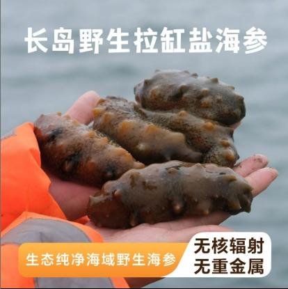 【长岛野生海参】具有高蛋白质！肉质厚实，参体饱满，弹性足！参刺挺拔，泡发率高！还可提高免疫力，温和滋补，降血脂等！做法多样，煲粥、蘸食、凉拌等！【TJ-J】 商品图1