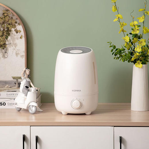 康佳  加湿器KJSQ-4926-M 商品图1