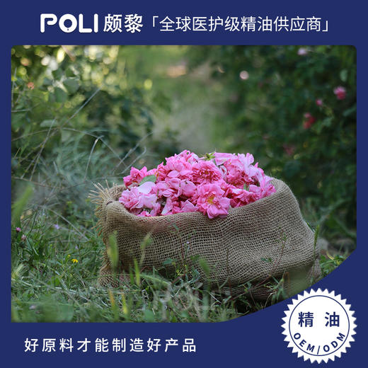 伊朗进口一级玫瑰精油原料伊朗进口单方精油颇黎进口精油批发采购 商品图0