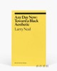 Any Day Now: Toward a Black Aesthetic(ekphrasis) / 现在随时：走向黑人美学 商品缩略图0