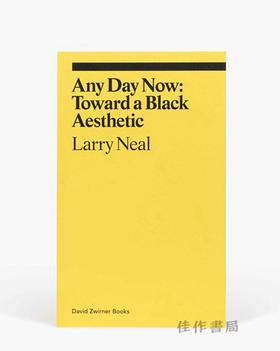 Any Day Now: Toward a Black Aesthetic(ekphrasis) / 现在随时：走向黑人美学