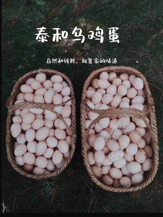 L泰和凤升原种泰和乌鸡30枚 商品图2