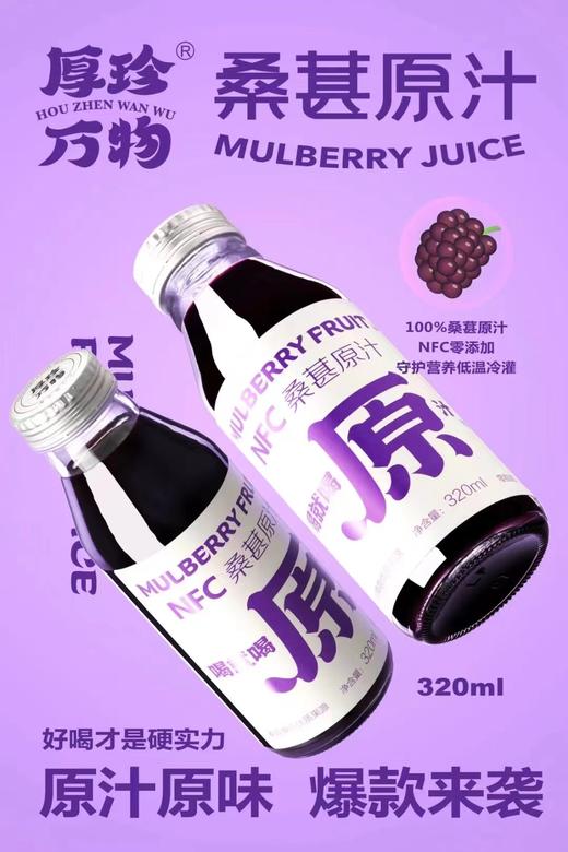 NFC桑葚原汁 商品图4