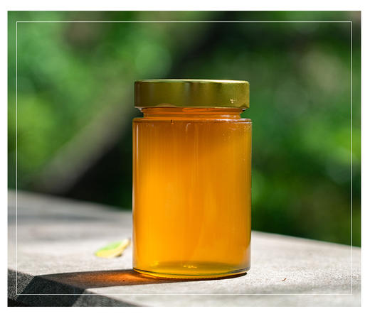 包德安/BDA 华蓥山土蜂蜜(500克） 商品图3