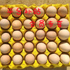 精选鲜鸡蛋 30枚/约1850g(净) 标准纸托装 大型鸡场直供 商品缩略图0